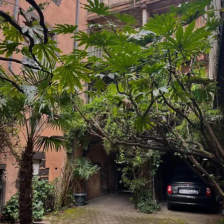 Chaleureux A 2 Pas De La Cathedrale